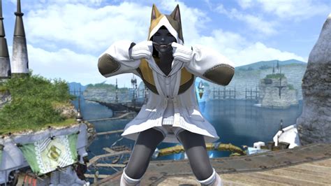 Ffxiv Online Store Lets You Get Cozy With A Whole Fat Cat Outfit Ffxiv Online Store Lets You Get Cozy With A Whole Fat Cat Outfit