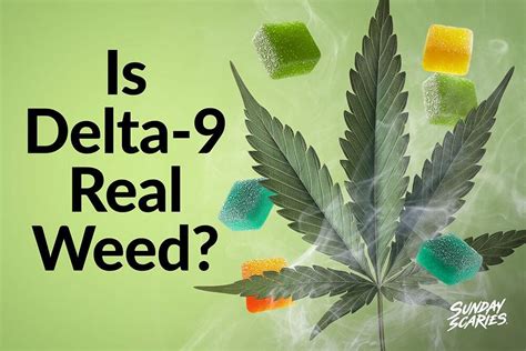Is Delta 9 Real Weed