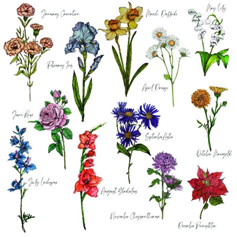 July Birth Flower Etsy July Birth Flower Etsy