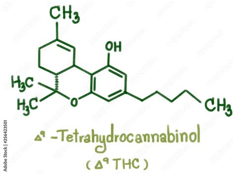 Structure Of Delta 9 Tetrahydrocannabinol Thc Nine Thc Type Structure Of Delta 9 Tetrahydrocannabinol Thc Nine Thc Type